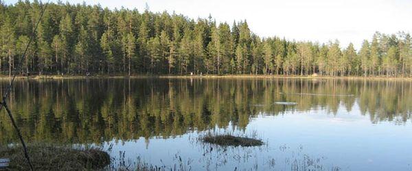 Undersviks FVF - Image 5