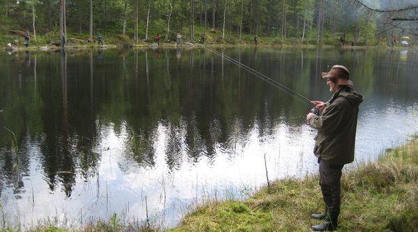 Undersviks FVF - Image 7