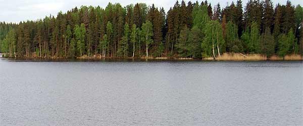 Emsen, Lillsjön - Image 3