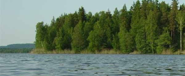 Emsen, Lillsjön - Image 5