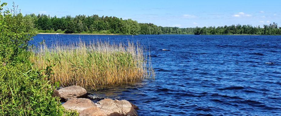 Möckeln, Steningen, Såganässjön mfl - Image 6