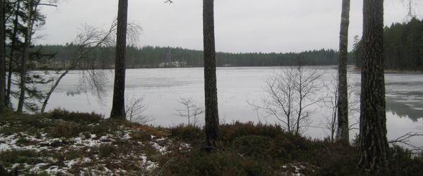 Vika FVOF - Image 2