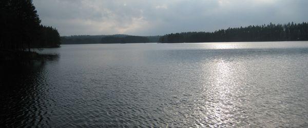 Vika FVOF - Image 3