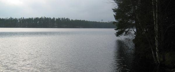 Vika FVOF - Image 4