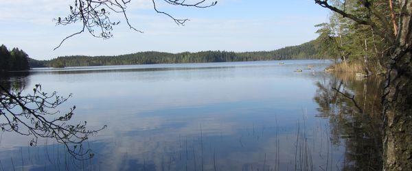 Vitasjön - Image 3