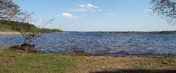 Västersjön - Image 6