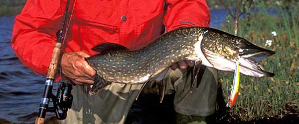 Säbysjön - Image 2