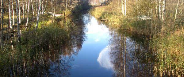 Örlen - Image 3