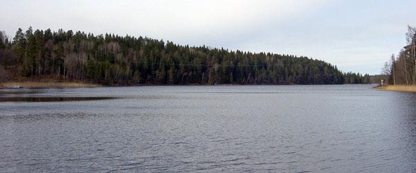 Svansjöarna, Ämmeskogsjön, Eldan mfl - Image 4