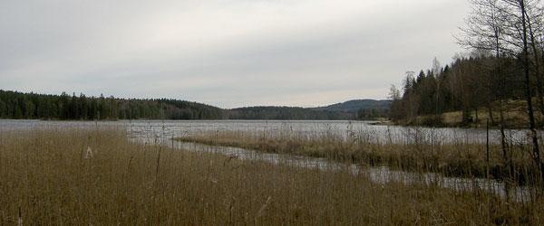 Svansjöarna, Ämmeskogsjön, Eldan mfl - Image 5