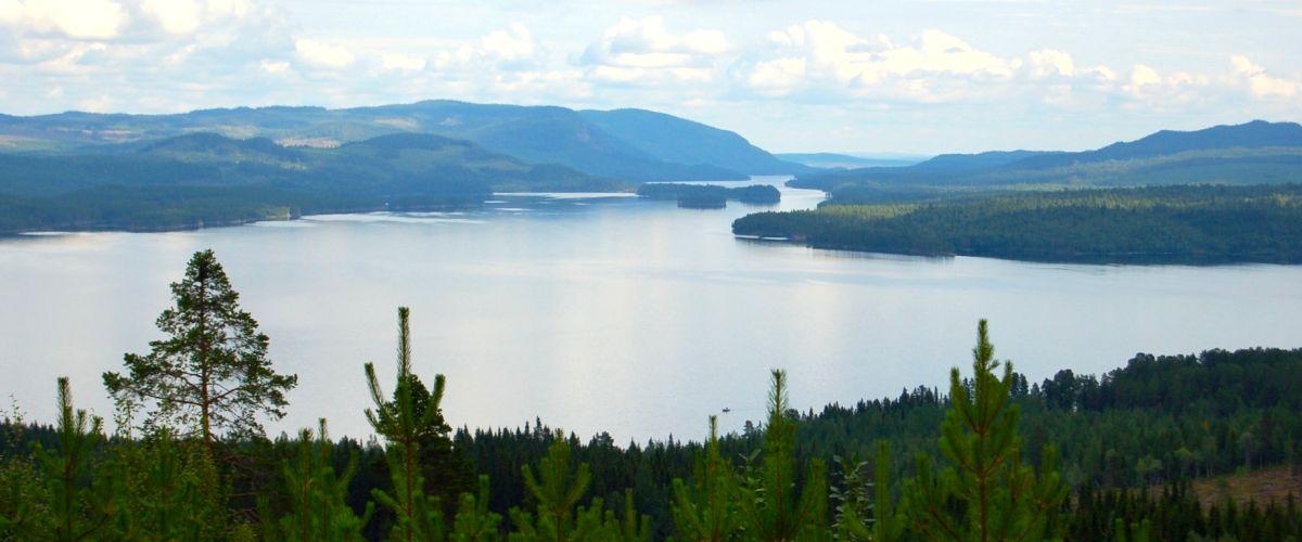 Fiskevägenkortet - Image 4