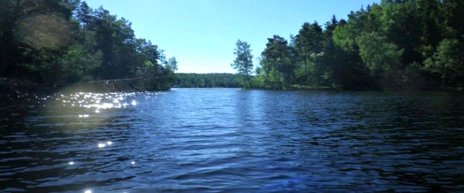 Råvarp - Image 1