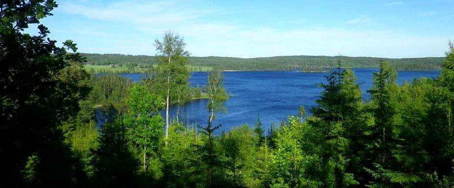 Råvarp - Image 2