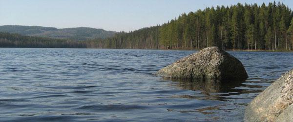 Ränningen med bifl.Ljusnan - Image 8