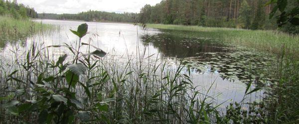 Skäftringen - Image 3