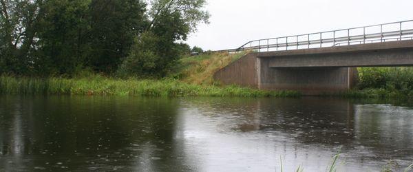 Svartån (nedre) - Image 7