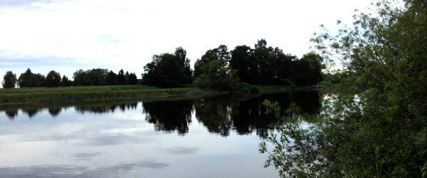 Svartån (nedre) - Image 10