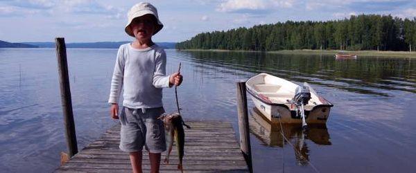 Visten, Smårissjön, Skivtjärn m.fl - Image 1