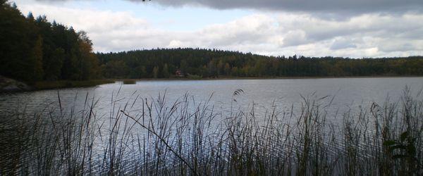 Bysjön (Vegalla) - Image 2