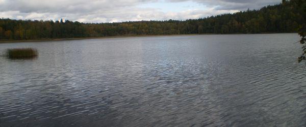 Bysjön (Vegalla) - Image 4