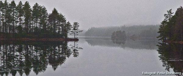 Valsjön - Image 1