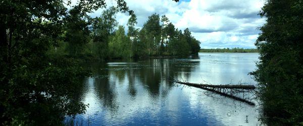 Krusasjön - Image 1