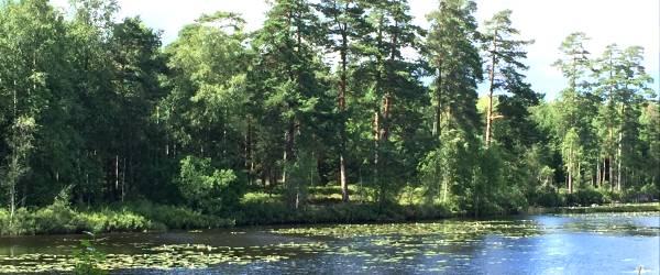 Krusasjön - Image 5