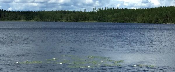 Krusasjön - Image 9