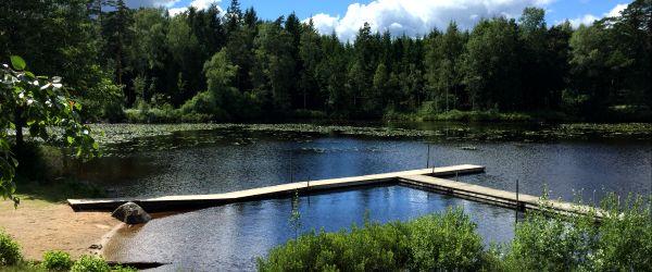 Krusasjön - Image 11