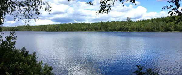 Krusasjön - Image 13