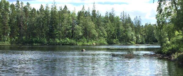 Krusasjön - Image 14