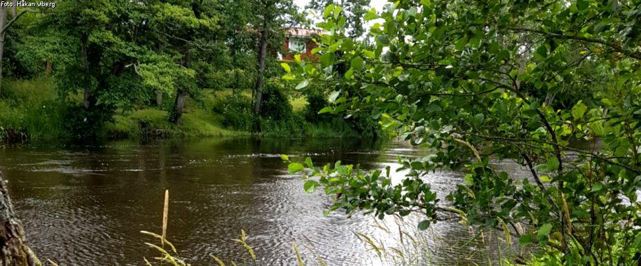 Viskan (Kullagård, Åsbro) - Image 4