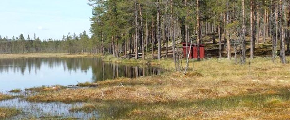 Ljusnan, Svegssjön m fl vatten - Image 10