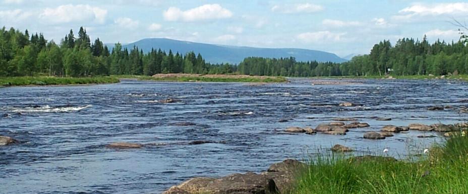 Ljusnan, Svegssjön m fl vatten - Image 9