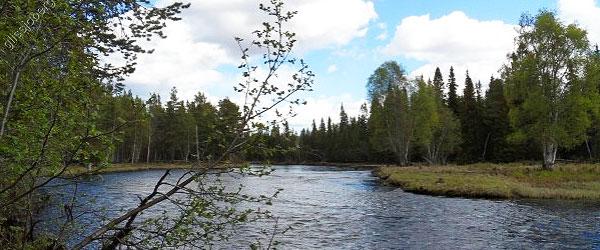 Ljusnan, Svegssjön m fl vatten - Image 6