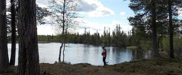 Ljusnan, Svegssjön m fl vatten - Image 7