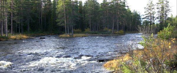 Flåsjön mfl. - Image 2