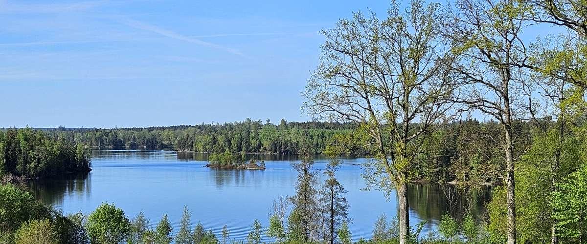 Allgunnen