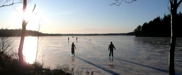 Stengårdshultasjön, Lillesjön - Image 4