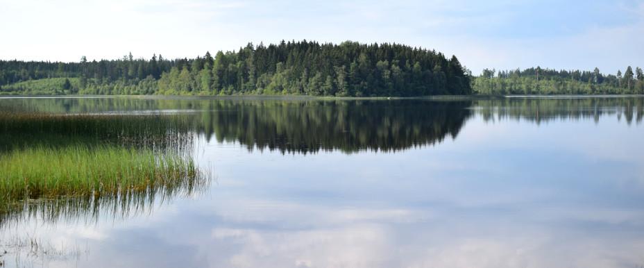 Eksjöhovgårdssjön - Image 4