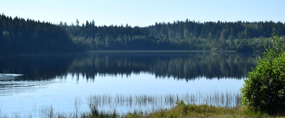 Eksjöhovgårdssjön - Image 1