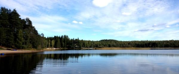 Norra Gussjön, Hammarsjön m fl vatten - Image 1