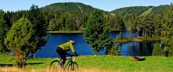 Norra Gussjön, Hammarsjön m fl vatten - Image 2