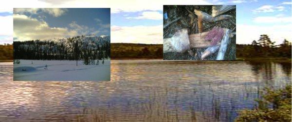 Ransundet - Image 3