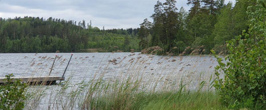 Rosjön, Rogölen - Image 3