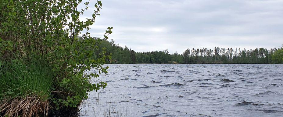 Rosjön, Rogölen - Image 4