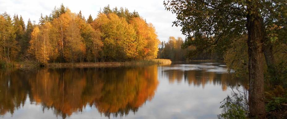 Photo of Aspö damm och Brunnshultadammen