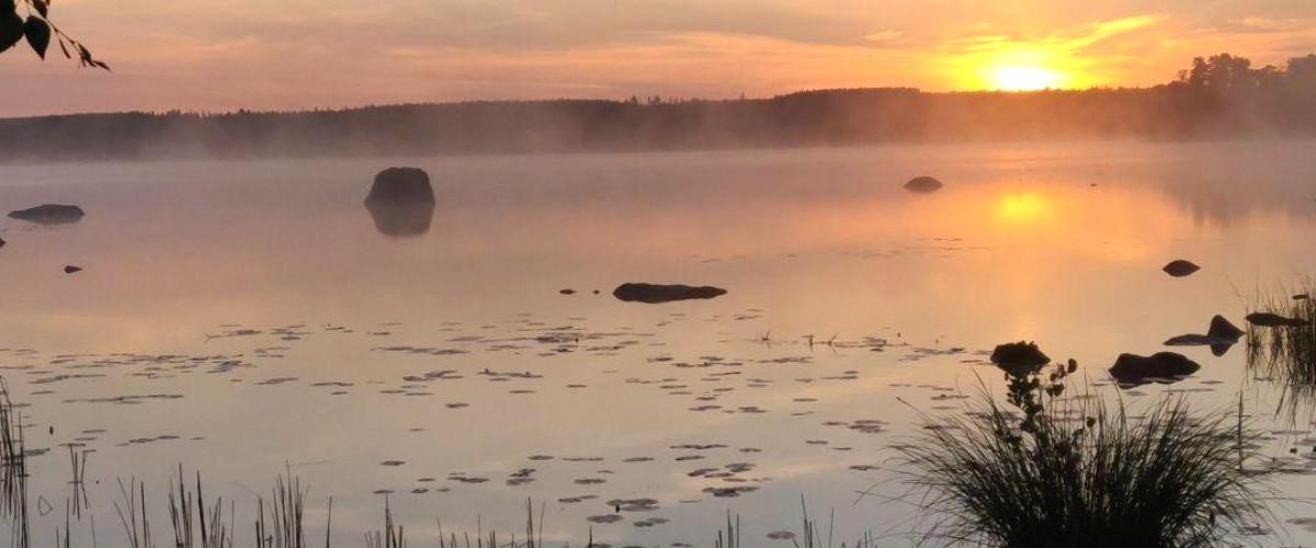 Sommarmorgon Flen