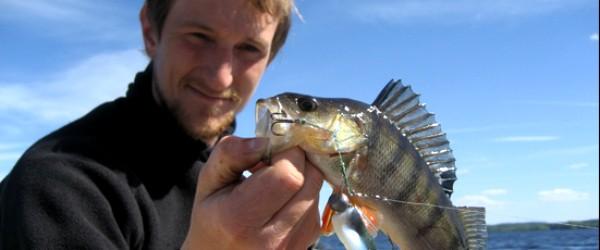 Grumlan - Image 1