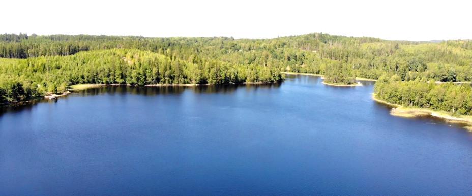 Hornbetasjön, Mossebosjön och Skogssjön - Image 2